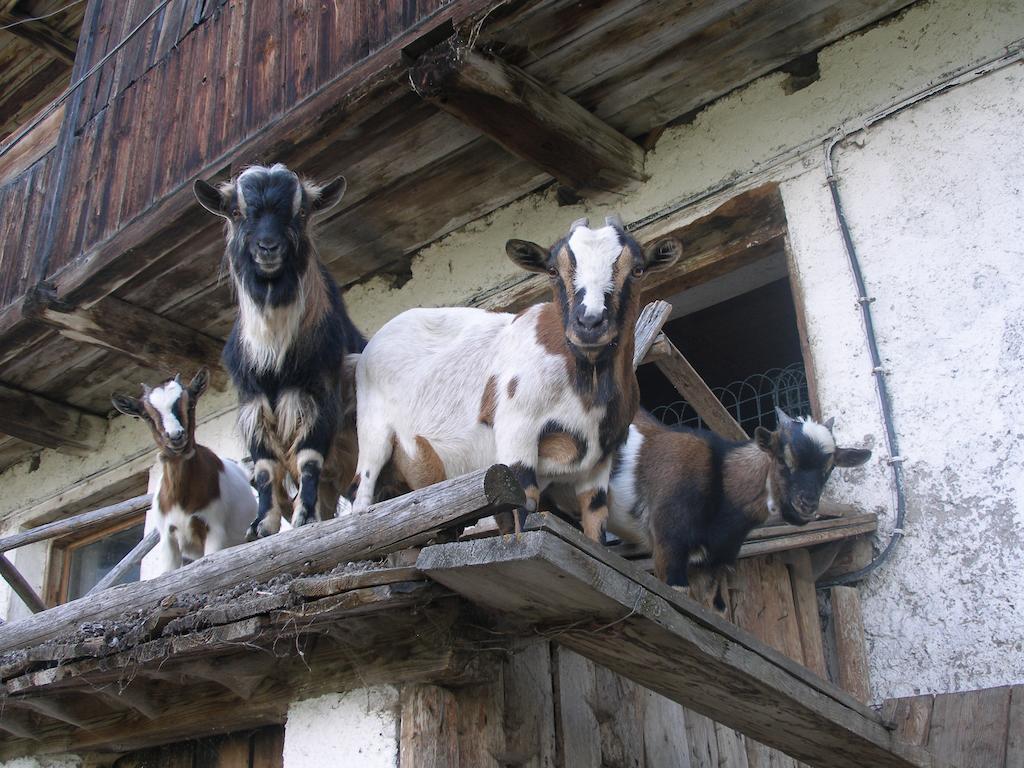 Oberschoellberghof Lutago Exterior foto